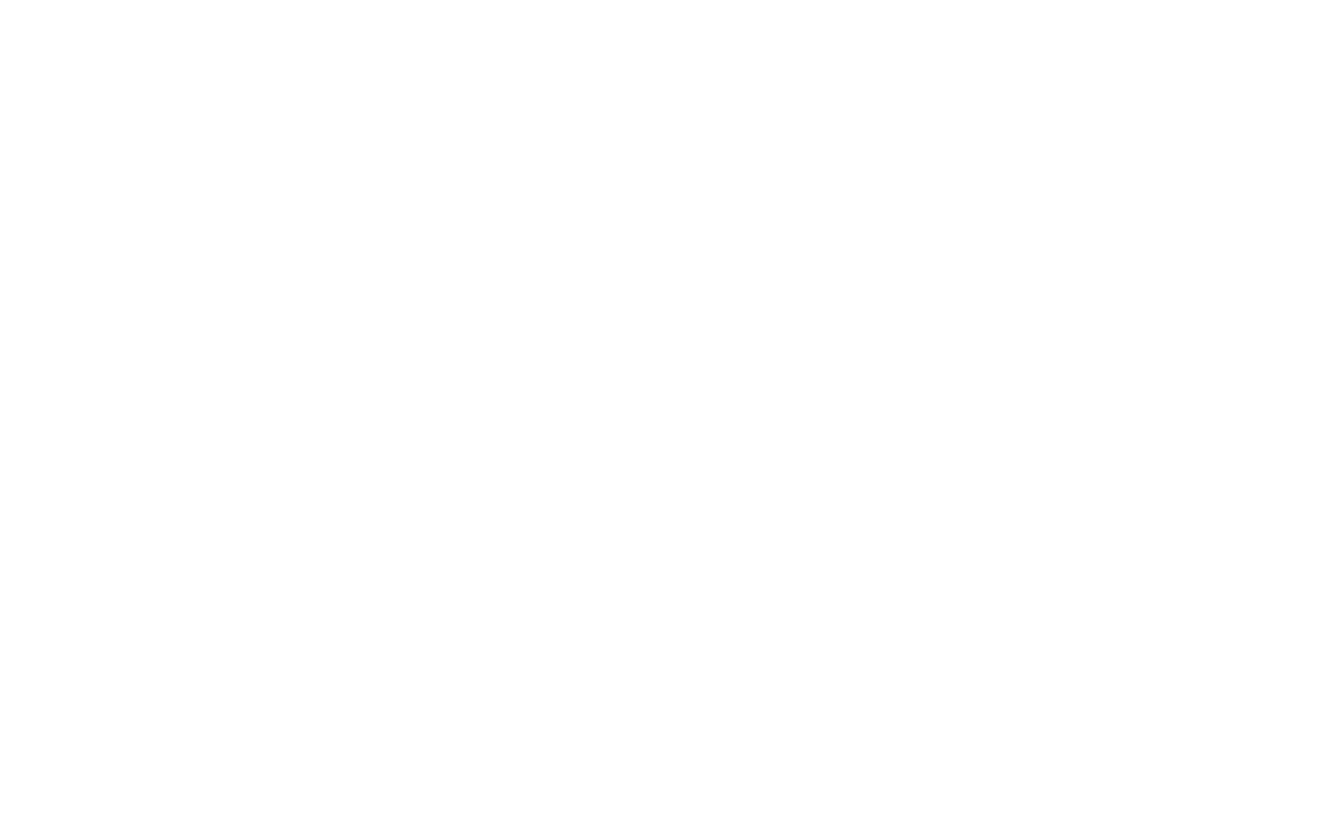 Raven Realty logo